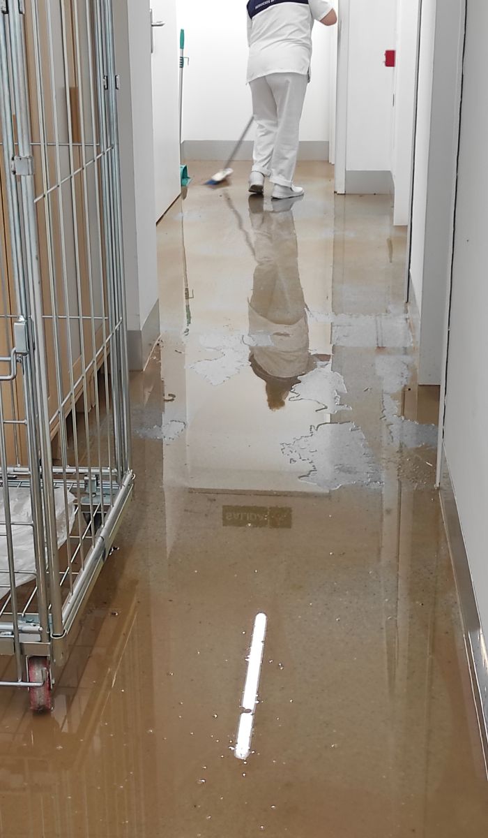 How are commercial cleaning companies addressing environmental concerns?
